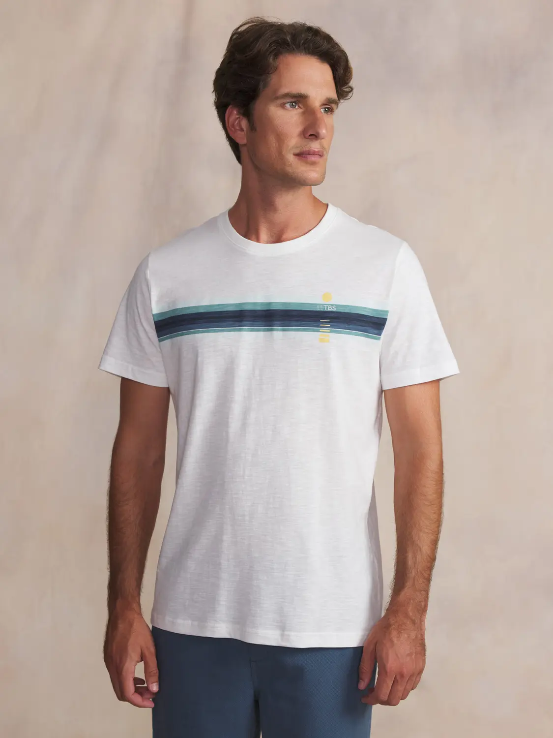 0efb5be4360e6cb2dbc9bf395d42cd83086808ba_RORRYTEE14017_1